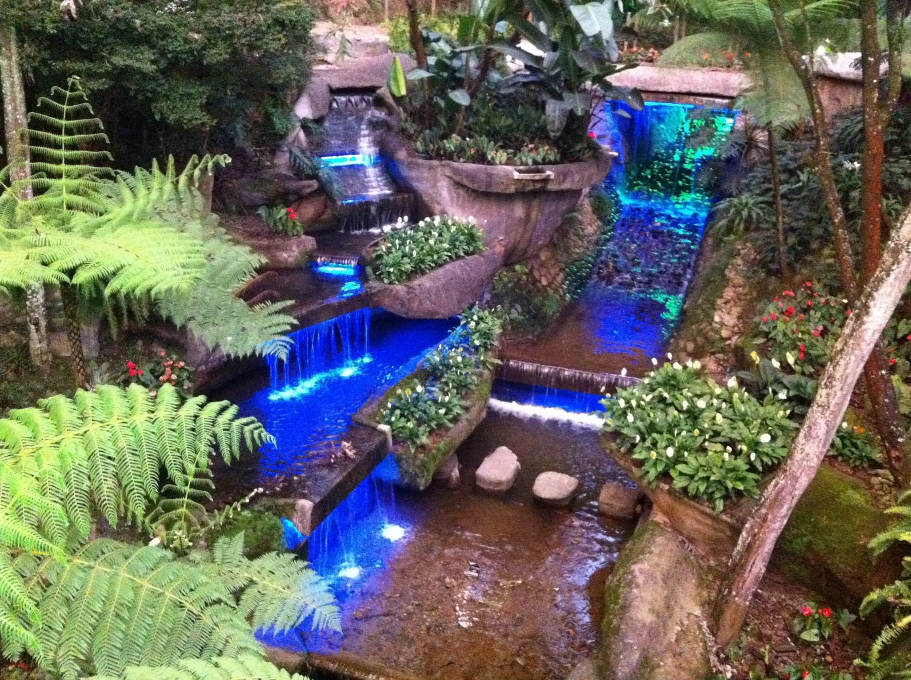 Cascadas y canales de agua entre helechos arbóreos en el Parque Comercial El Tesoro