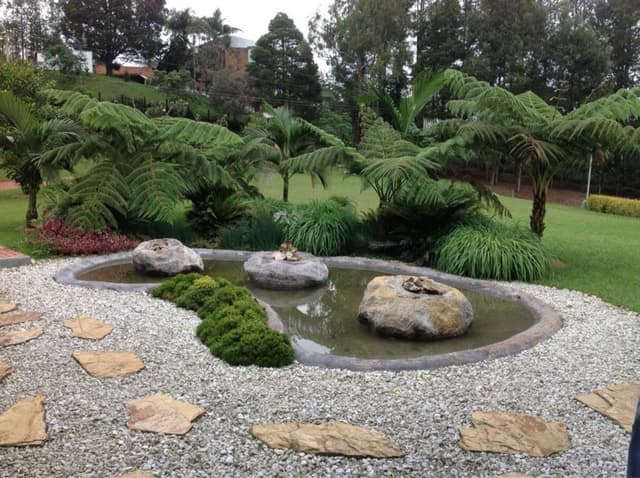 Jardín de grava y piedra con helechos arbóreos alrededor del espejo de agua