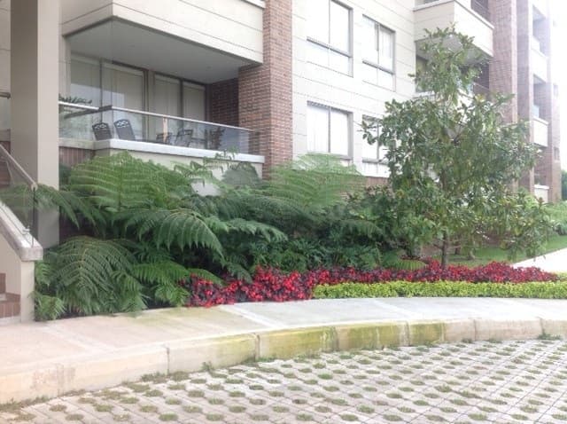 Jardinera de helechos y flores frente al hotel